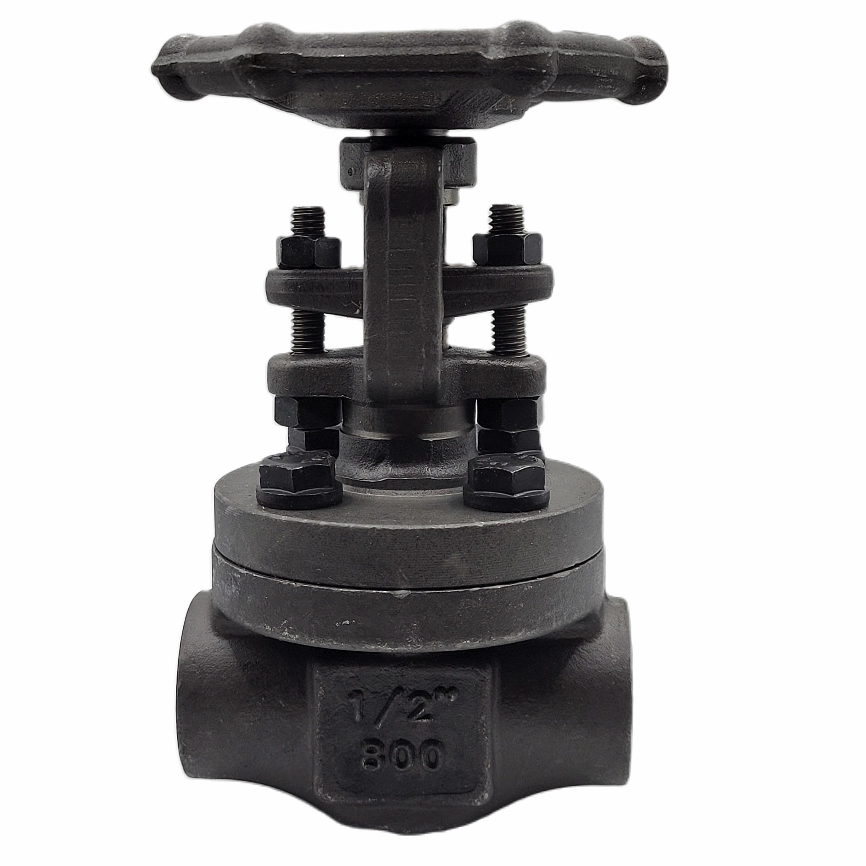 Flowserve® 1-1/2 12111 VV121111/2