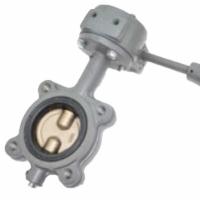 Milwaukee Valve CL323E D 8