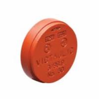 Victaulic&reg; F024060P00